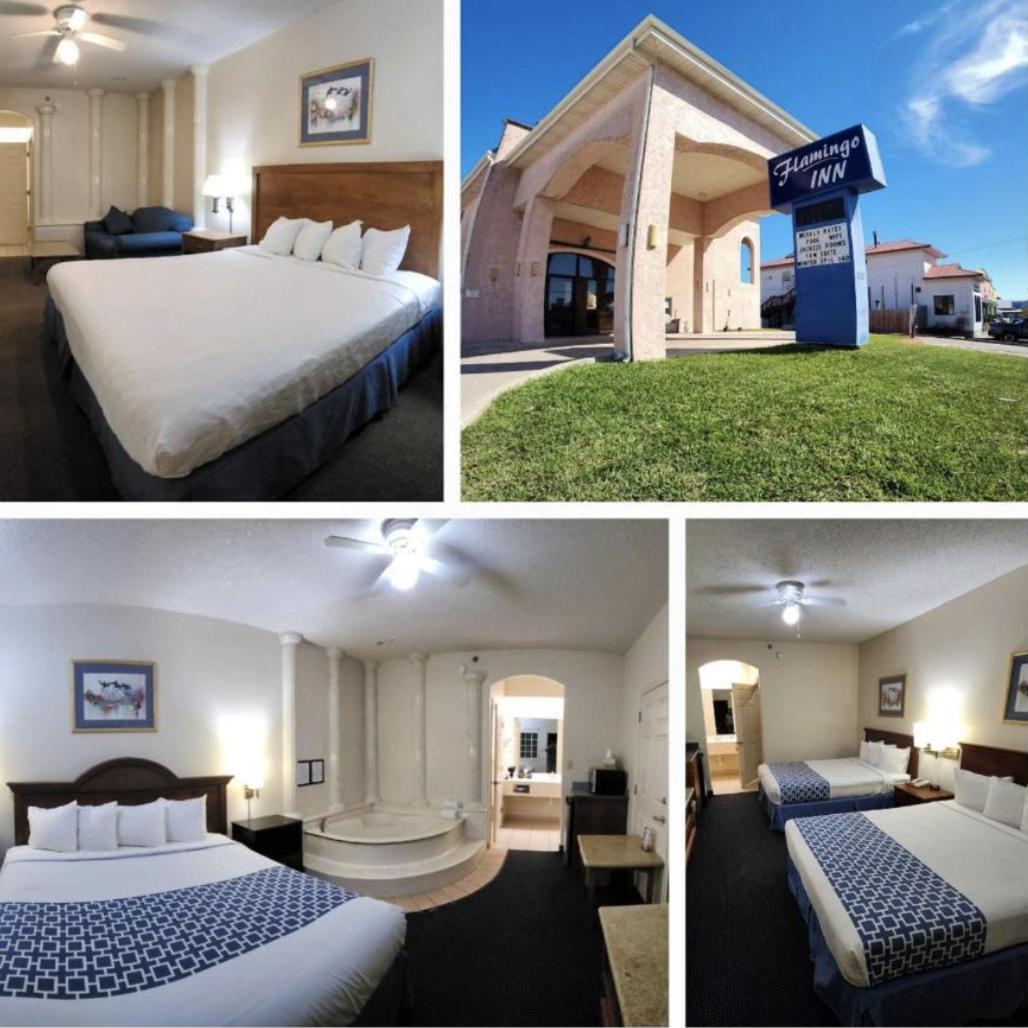 The Flamingo - South Padre Island Hotel ภายนอก รูปภาพ